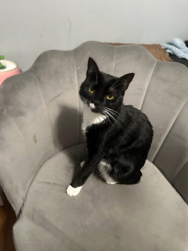 37f3c60b 819f 408e 9f21 ab2568c4943d.jpg