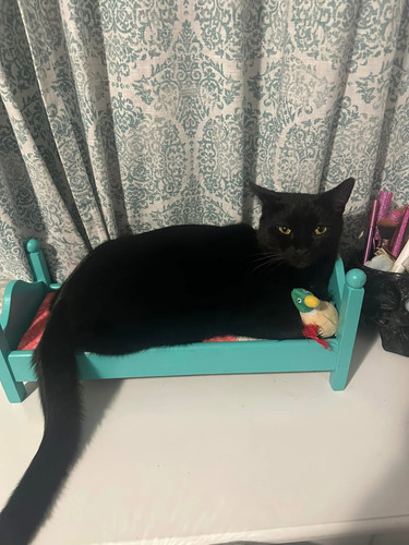 ff4b1a0f cc98 44b1 a3a3 2524cdb17276.jpg