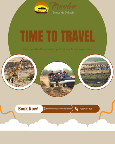 muchotoursandsafaris.png
