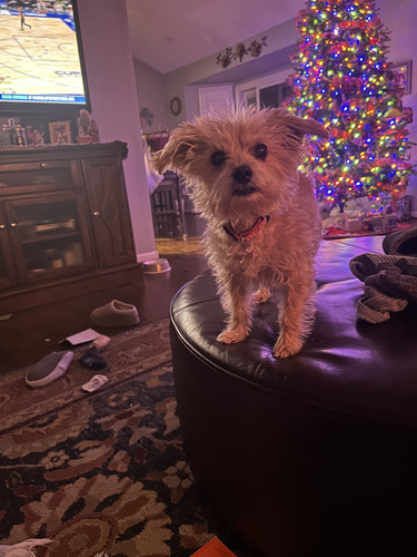 ddf68cce f538 4302 8569 10a333de975b.jpg