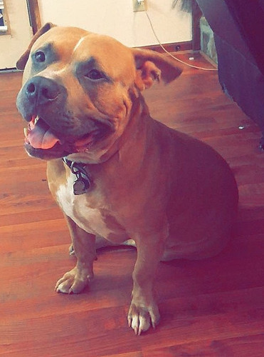 a2c9bcd4 c0aa 4bb8 8c26 448d18ae66bd.jpg