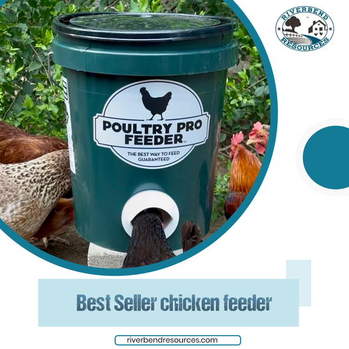 Best Seller Chicken Feeder.png