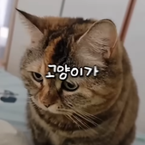 2025 12 09 14 42 12.png