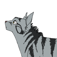 2025 12 08 0ox Kleki.png