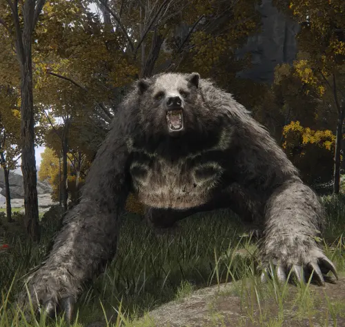 ER Runebear.webp