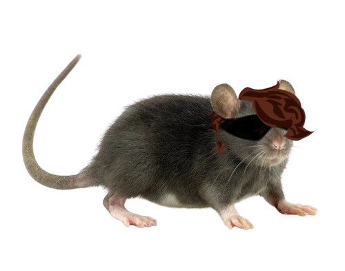 IMG 2048.png