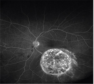 G7n9te9a0AABUPL.jpg
