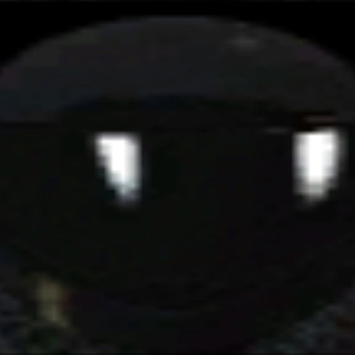 7c87ec6ed431.jpg