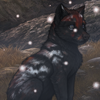 icon.png