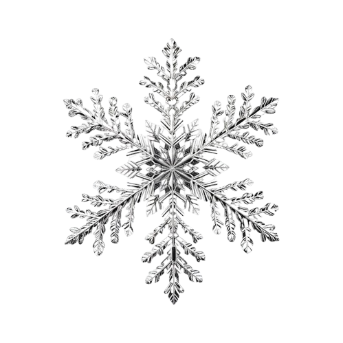 3d metallic silver snowflake on transparent background removebg preview.png