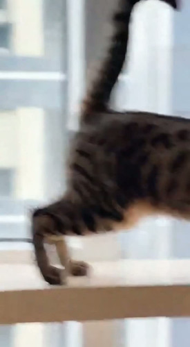 3ddcefd6 3d74 5ef5 f0f4 00100a53154d last frame.jpg