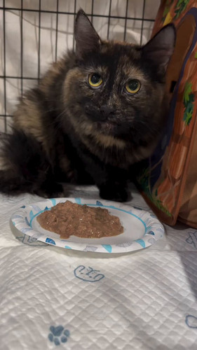 Jnj2Up6mxfp3pq v.jpg