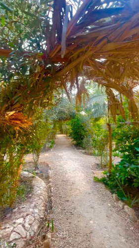 XAs9Uh9M O6g6RFb.jpg