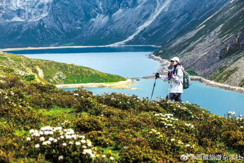 DF334792 4AD8 479D 8D8C EC083D93E370.jpg