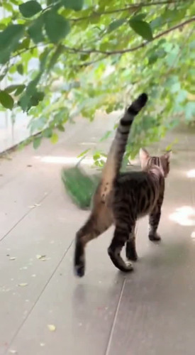 9e877d16 0e0e 35e8 bf07 3fa481b889a5 last frame.jpg