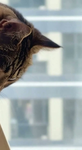 579f00a5 d0d0 9e95 f401 7dbe8ea3591a last frame.jpg