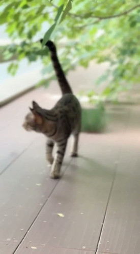 280f5eba 55f3 b78c f998 6c38cffa5187 last frame.jpg