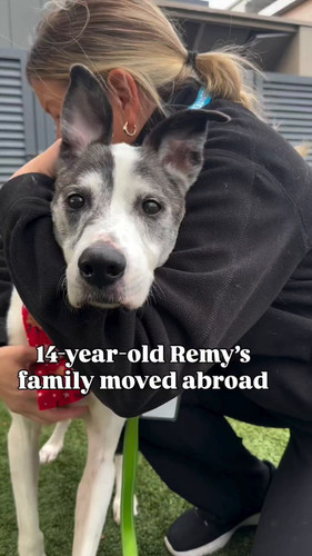 exvahxrlp d68p5k.jpg