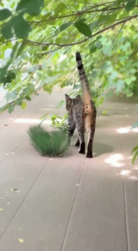 091e9677 f611 307b afd7 b88b88b86024 last frame.jpg