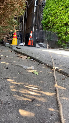 2ZwNbMjUo87 Te1l.jpg