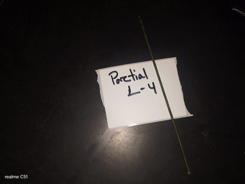 IMG 20251209 WA0057.jpg