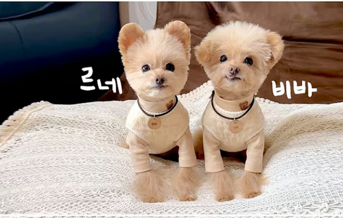 스크린샷 2025 12 09 134156.png