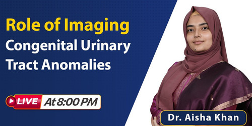 WhatsApp Image 2025 12 09 at 10.34.43.jpg