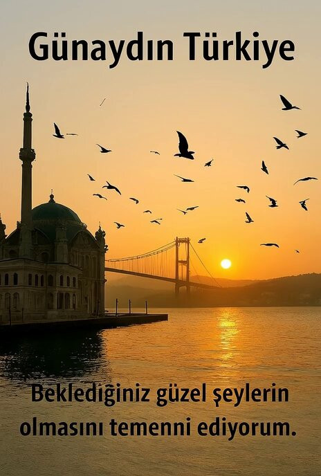 l Wp1enwPjA flEI.jpg