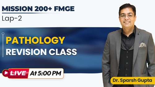 WhatsApp Image 2025 12 08 at 1.59.44 PM.jpg