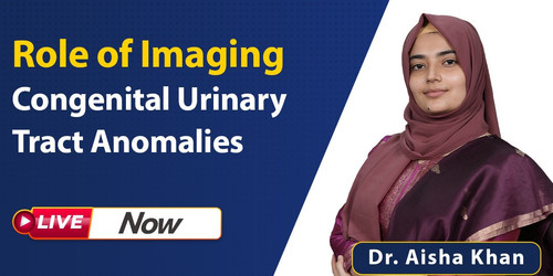 WhatsApp Image 2025 12 09 at 10.34.43 (1).jpg