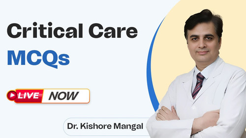 WhatsApp Image 2025 12 08 at 14.22.55.jpg