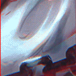 w4.gif