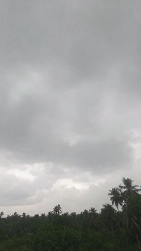 a89a605da4ac.jpg