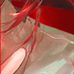 e4.gif