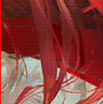 e5.gif