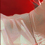 e2.gif