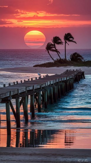 1000004527.jpg