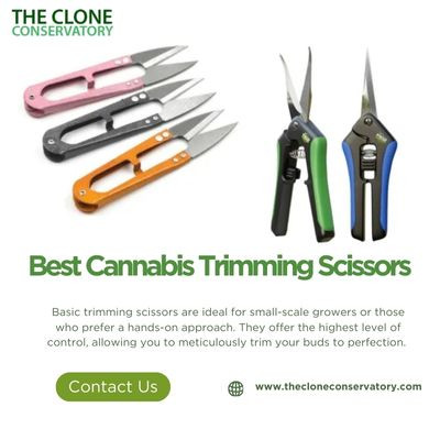 Best Cannabis Trimming Scissors.jpg