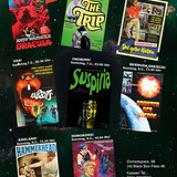 A4 Festival Flyer 2026 rckseite