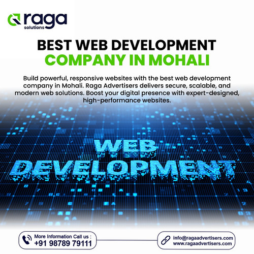 Best Web Development Company in Mohali.jpg