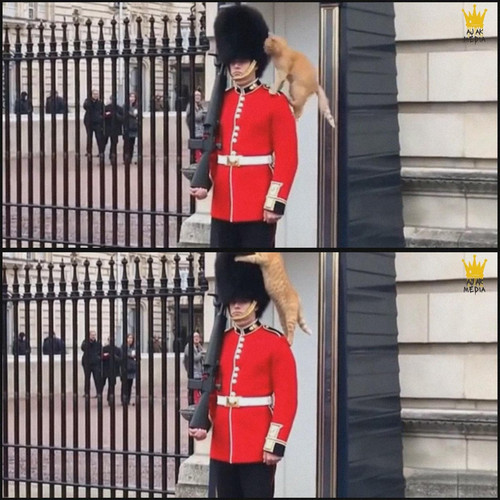 G7j3mOuaQAAjEZY.jpg