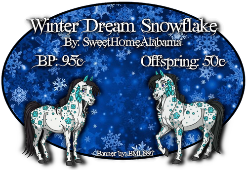 winter dream snowflake