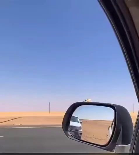 ESV24c HvpzjpnD8.jpg