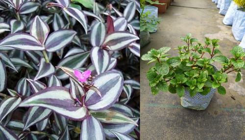 imgonline com ua twotoone LitZdeyWeS42aBDW.jpg