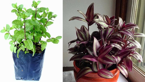 imgonline com ua twotoone 2iaRp0gmSukC.jpg