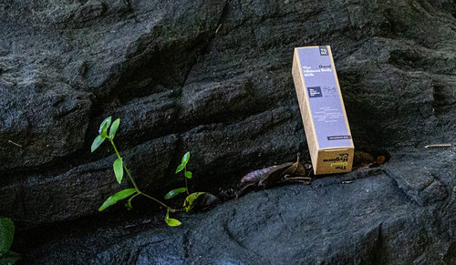 Body Lotion for Sensitive Skin Capture Calm, Softness & Daily Hydration.jpg