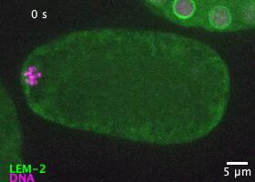 9BNvZk7y0aZoEd P.jpg