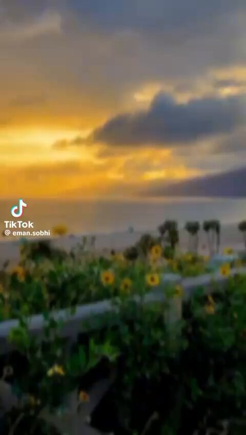 P3yZju t4YL7IUQs.jpg