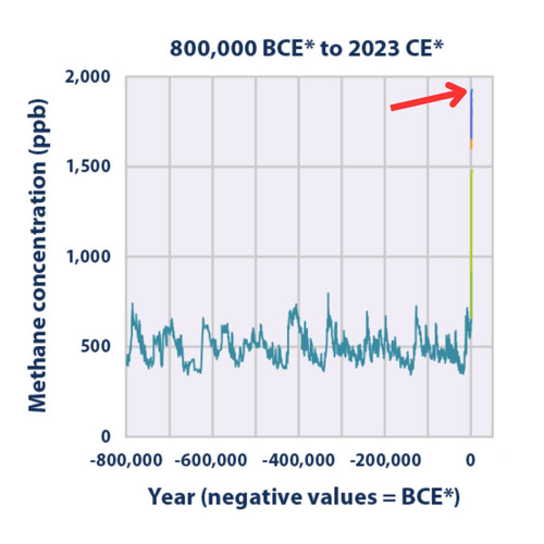 G3xMP ZXMAAlS1O?format=jpg.jpg
