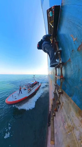 W2DH SYUTEMoQM22.jpg